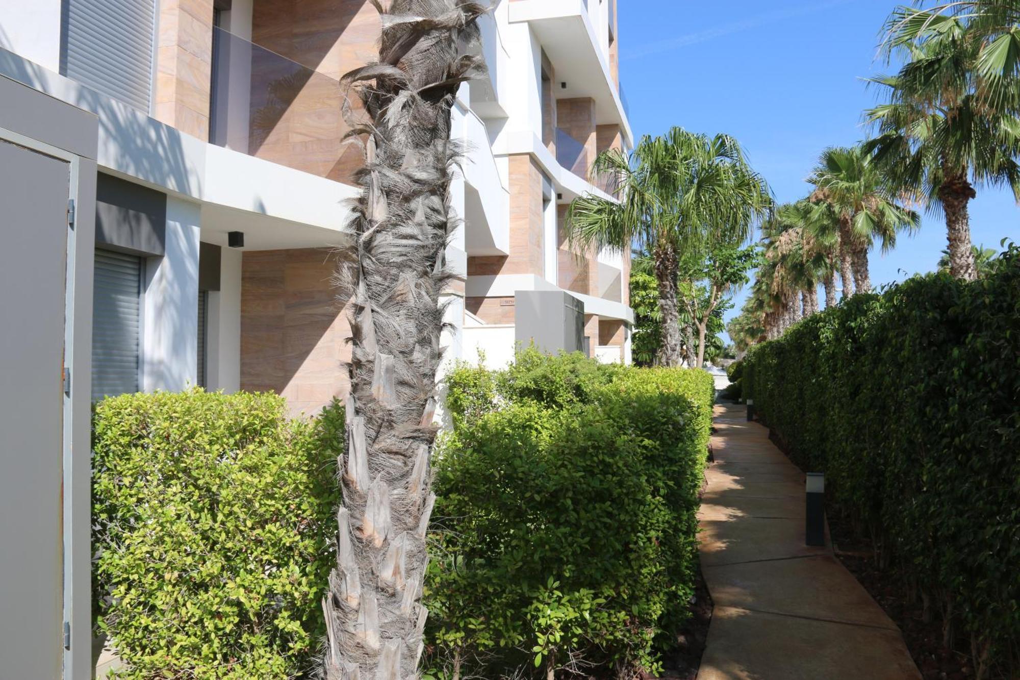 Luxusni Apartman Ve Spanelsku, Cabo Roig Orihuela Exterior photo